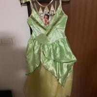 Vestito di carnevale la principessa e il ranocchio