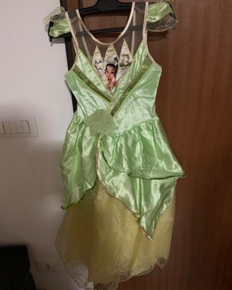 Vestito di carnevale la principessa e il ranocchio