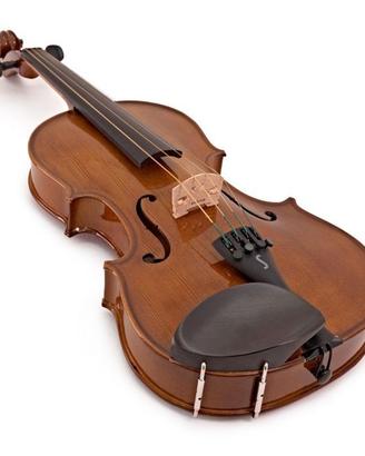 Viola stentor (nuova)