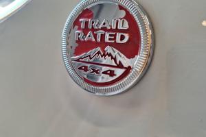 Jeep Renegade  2.0d 4x4 Trail Rated 2017