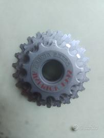 gruppo regina 1992 8 rapporti