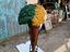 Immagine 1