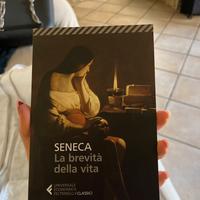 La brevità della vita – Seneca