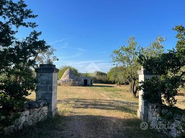 CASA DI CORTE A CEGLIE MESSAPICA
