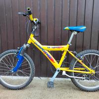 Bicicletta raggio 20