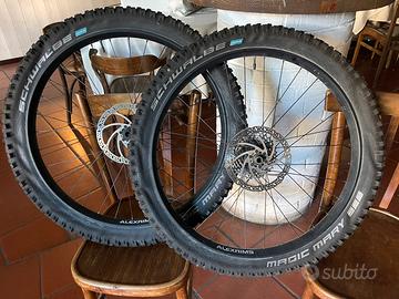 Cerchi Alexrims MTB completi