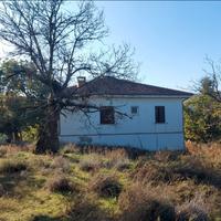 Villetta singola, 2 rustici e terreno