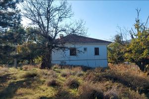 Villetta singola, 2 rustici e terreno