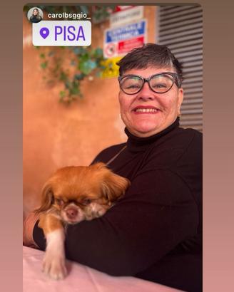 Assistente famigliare