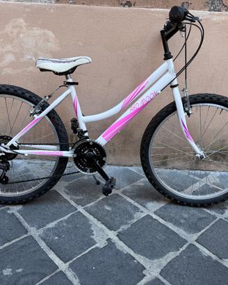 Mtb 24