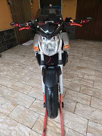 gsr 600 anno 2007