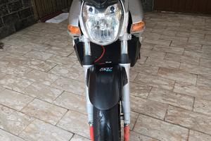 gsr 600 anno 2007