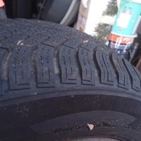 4 Gomme Nexen Wingard