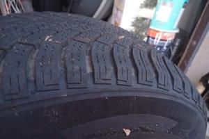 4 Gomme Nexen Wingard