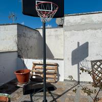 Canestro professionale