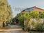 Immagine 26