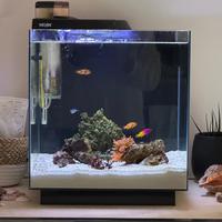Acquario Marino NEWA MORE