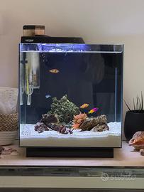 Acquario Marino NEWA MORE