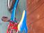 Immagine 4