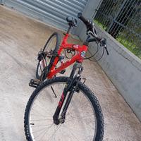 mountain bike 26