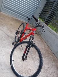 mountain bike 26