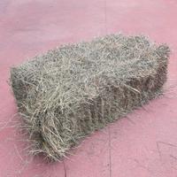 Fieno in ballette 2025