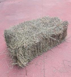 Fieno in ballette 2025