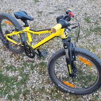 Scott 20"