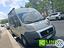 Immagine 18