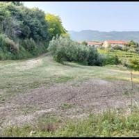 Spazio rustico tra vigne e olivi a Soave - griglia