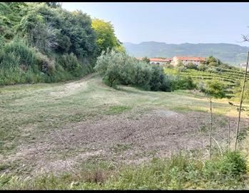 Spazio rustico tra vigne e olivi a Soave - griglia