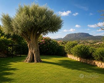 Villa di Lusso a 50 m dal Mare con 500 mq Giardino