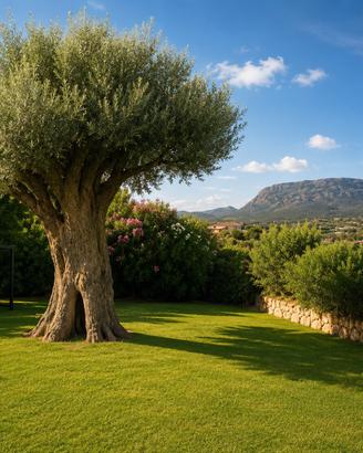 Villa di Lusso a 50 m dal Mare con 500 mq Giardino