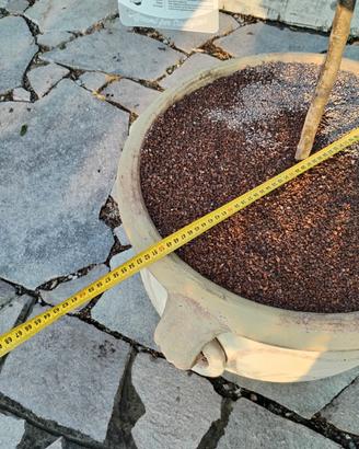 Composizione vaso da giardino in terracotta 