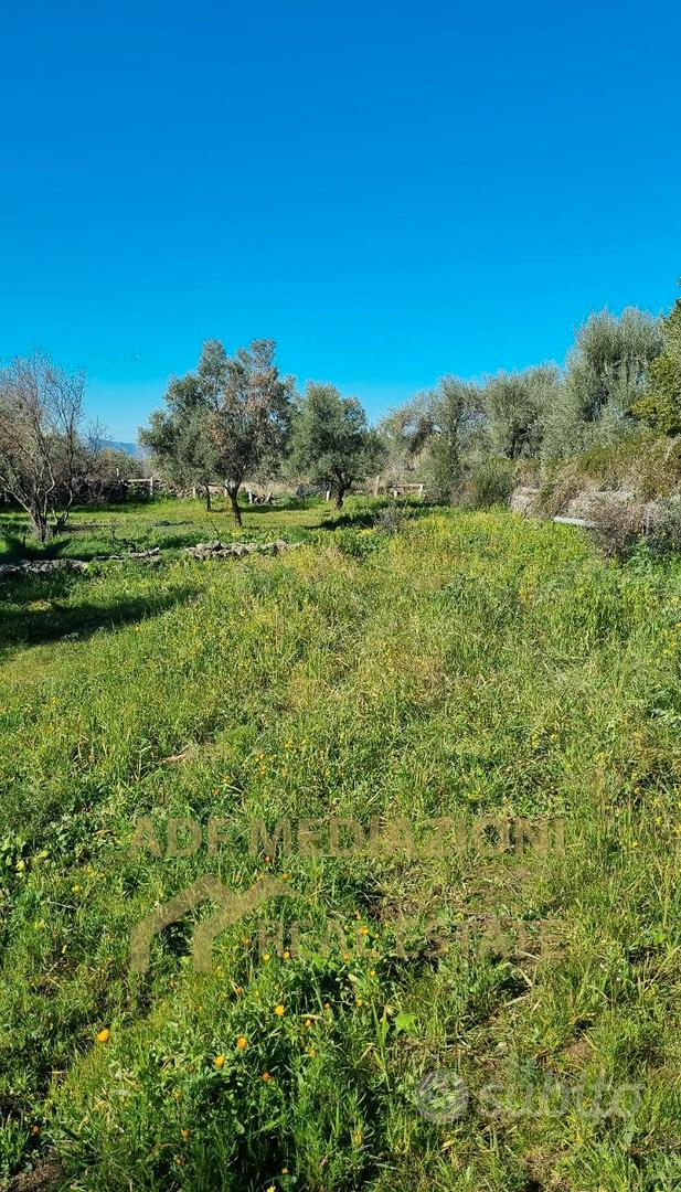 Terreno Agricolo Con Piccolo Rudere - Vista 2