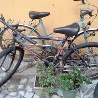 mountain bike ruote 26