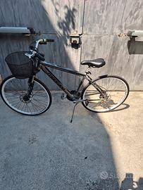 City Bike in lega leggera 21 velocità