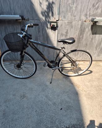 City Bike in lega leggera 21 velocità
