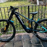 Haibike nduro 8 freeride
