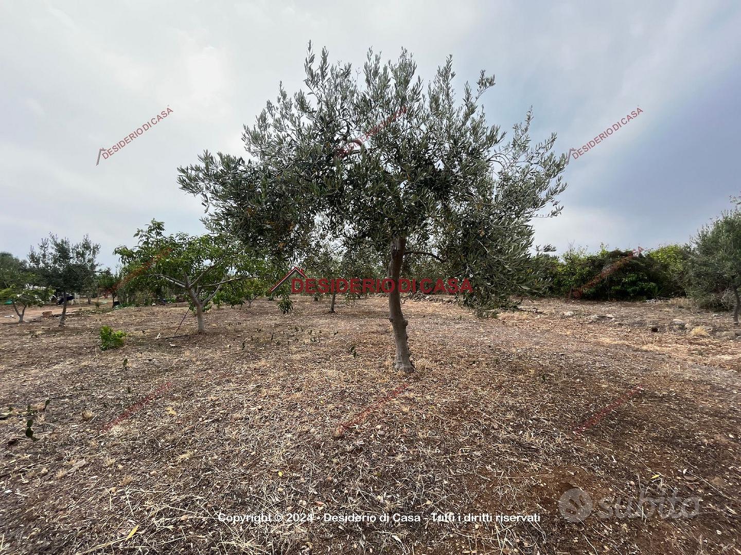 Terreno, Casteldaccia. - Vista 2
