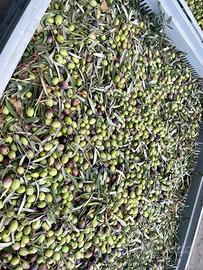 Da Uliveto Cerasuola, biancolilla e nocellara