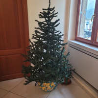 Albero di Natale