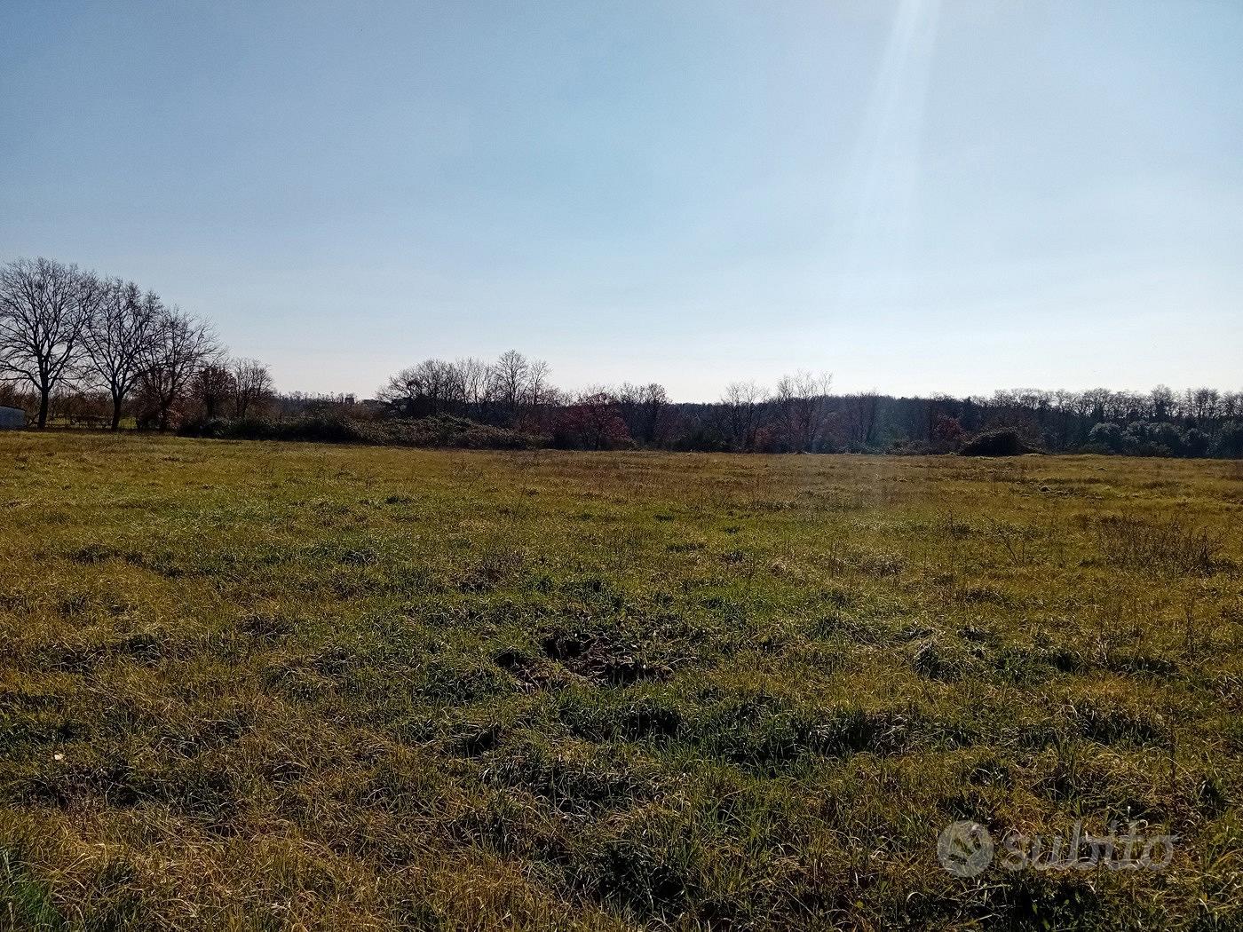 Terreno Residenziale Nepi [Cod. rif 3339933VRG] - Vista 4