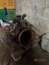 pompa atomizzatore annovi reverberi 4 membrane