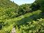 Immagine 26