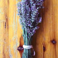 lavanda fresca in mazzi