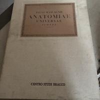 Pauli mascagnii anatomia  universae