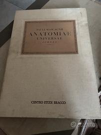 Pauli mascagnii anatomia  universae