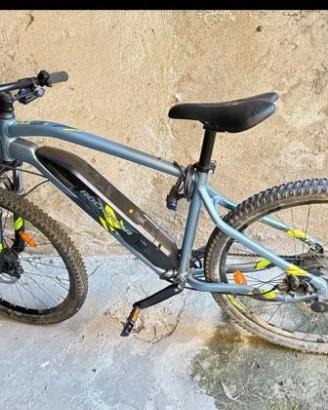 bici pedalata assistita