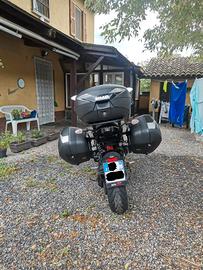 Tris borse SHAD + telai 3P per MT 09 2017-2020